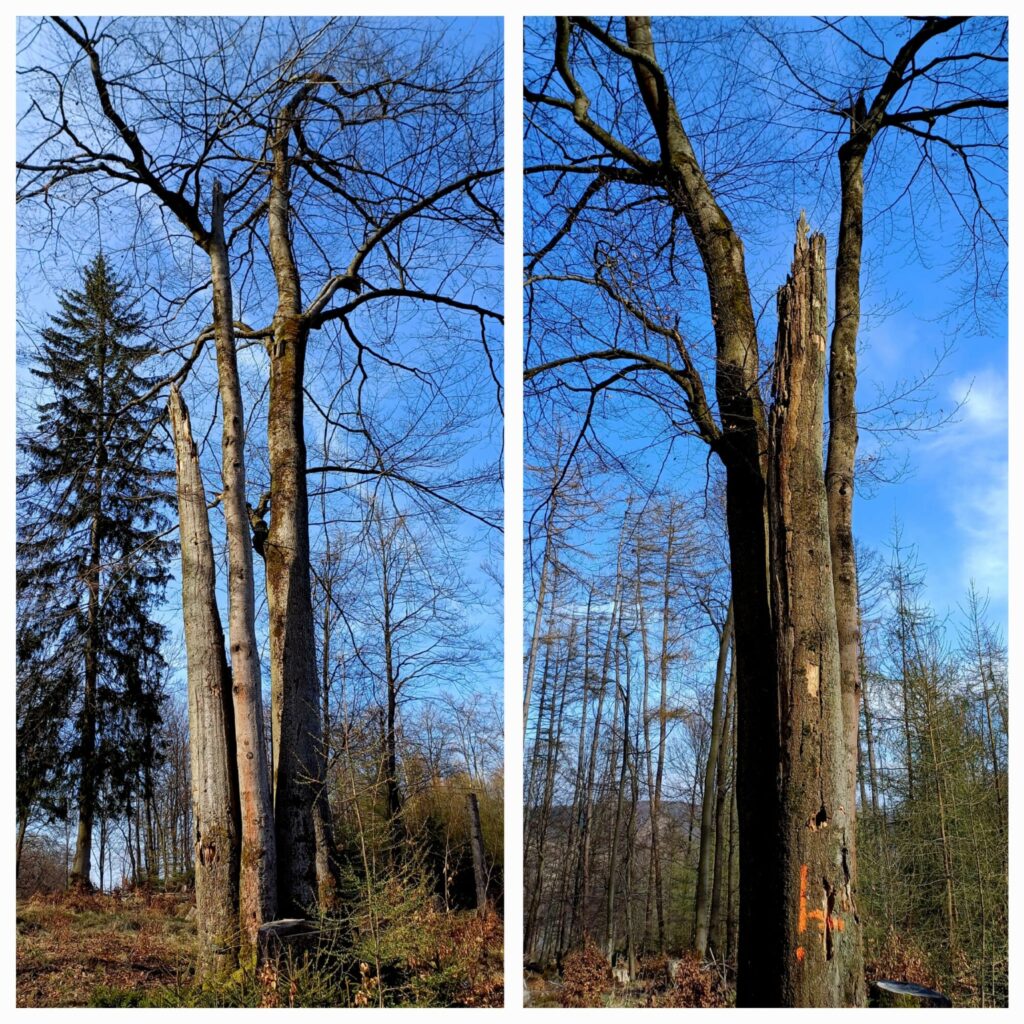 Wanderung, Frauengemeinschaft